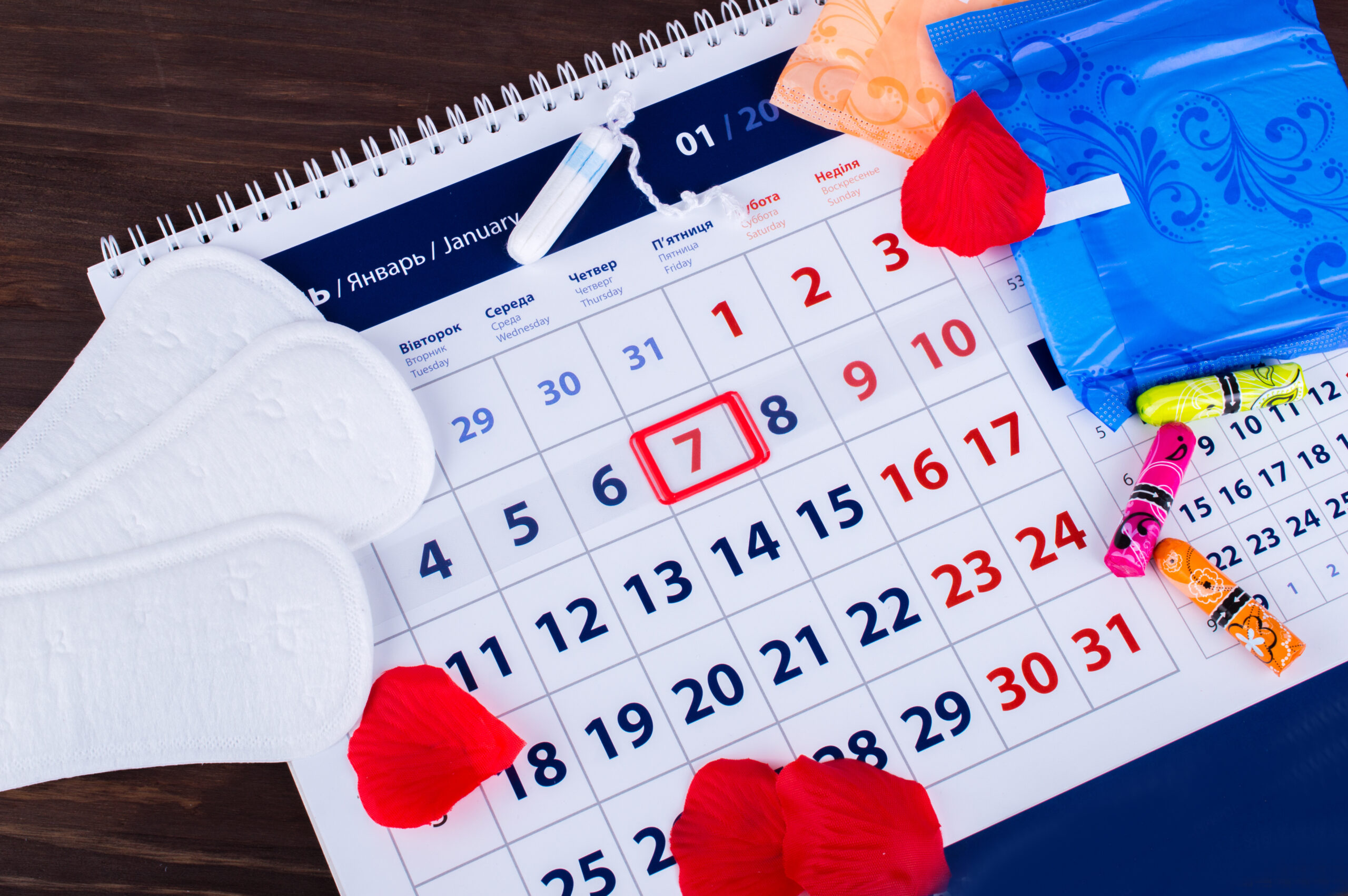 Woman hygiene protection, menstruation calendar with cotton tampons ,Sanitary pads