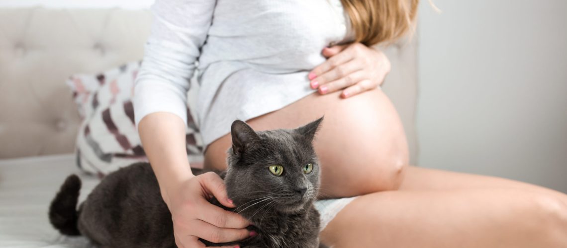 Toxoplasmose vs. gravidez: conheça os perigos